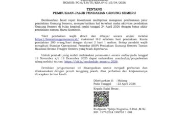 Pendakian Gunung Semeru Dibuka Lagi Sampai Ranu Kumbolo, Kuota Hanya 200 Orang