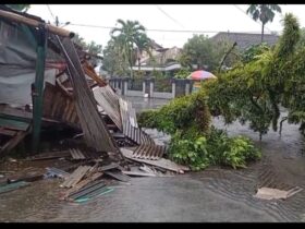 Pohon tumbang menimpa rumah warga yang terjadi di Kecamatan Jabung akibat cuaca ekstrem (BPBD Kabupaten Malang)