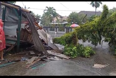 Pohon tumbang menimpa rumah warga yang terjadi di Kecamatan Jabung akibat cuaca ekstrem (BPBD Kabupaten Malang)