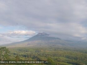 Aktivitas Semeru Masih Siaga, Tercatat 20 Kali Letusan dalam 6 Jam Pengamatan