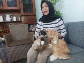 Warga di kawasan Jalan Danau Singkarak III RT 5 RW 7, Kelurahan Lesanpuro, Kecamatan Kedungkandang, Kota Malang dibuat resah sekaligus trauma setelah delapan ekor kucing ditemukan mati