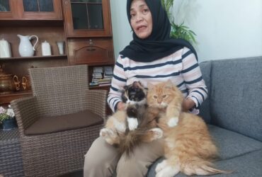 Warga di kawasan Jalan Danau Singkarak III RT 5 RW 7, Kelurahan Lesanpuro, Kecamatan Kedungkandang, Kota Malang dibuat resah sekaligus trauma setelah delapan ekor kucing ditemukan mati
