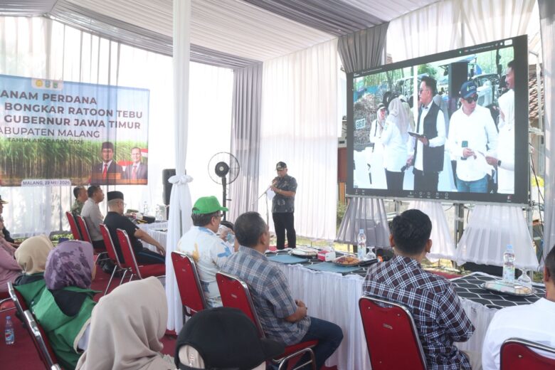 Bupati Malang, HM Sanusi saat tanam perdana bongkar ratoon tebu (Prokopim)
