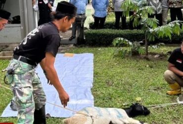 Kegiatan Bimbingan Teknis Juru Sembelih Halal 2026 di Unisma. (Istimewa)