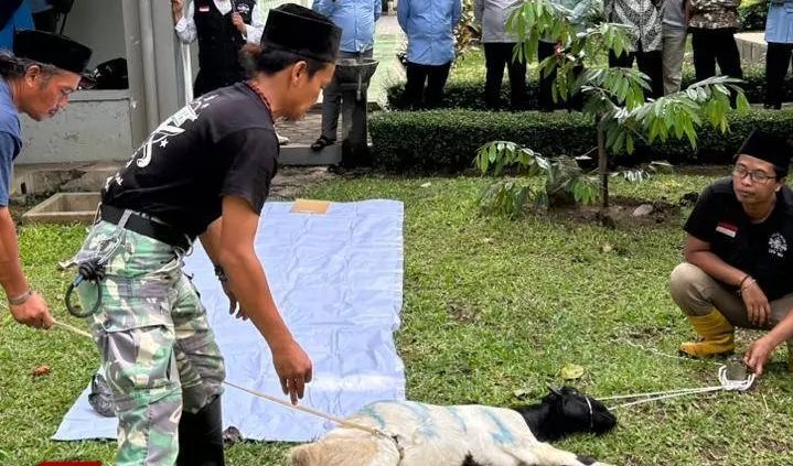 Kegiatan Bimbingan Teknis Juru Sembelih Halal 2026 di Unisma. (Istimewa)