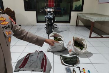 Barang bukti dugaan pencurian jeruk di Turen, Kabupaten Malang (Humas Polres)