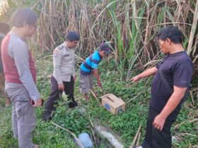 Penemuan mayat bayi perempuan di Gondanglegi, Kabupaten Malang (Polres Malang)