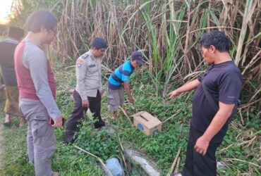 Penemuan mayat bayi perempuan di Gondanglegi, Kabupaten Malang (Polres Malang)
