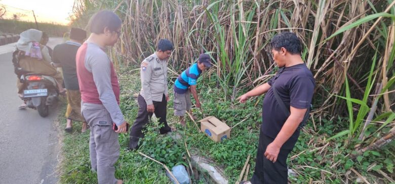 Penemuan mayat bayi perempuan di Gondanglegi, Kabupaten Malang (Polres Malang)