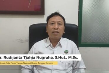 Lagi, TNBTS Amankan 13 Pendaki Ilegal Gunung Semeru, Empat Orang Masih Diburu