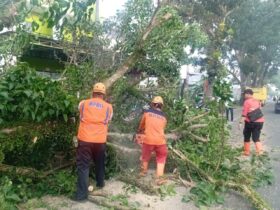 BPBD Kabupaten Malang Catat 232 Kejadian Bencana pada Semester I 2026 (Istimewa)