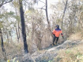 Update Kebakaran Bromo : Meluas ke Kabupaten Malang, Sekitar 80 Hektare Lahan Terbakar (BPBD Kabupaten Malang)