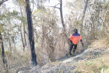 Update Kebakaran Bromo : Meluas ke Kabupaten Malang, Sekitar 80 Hektare Lahan Terbakar (BPBD Kabupaten Malang)