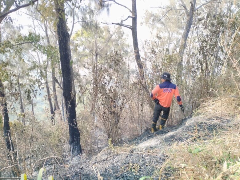 Update Kebakaran Bromo : Meluas ke Kabupaten Malang, Sekitar 80 Hektare Lahan Terbakar (BPBD Kabupaten Malang)