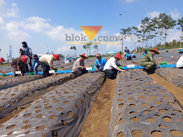 Pemkab Malang Siapkan 60 Hektare Lahan untuk Pembenihan Bawang Putih (blok-a.com / Yogga Ardiawan)