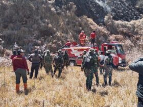 Karhutla Bromo Padam, 8 Titik Panas Masih Diwaspadai