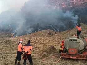 Kebakaran Bromo meluas ke B29, area terbakar mencapai 135 hektare (foto: BPBD Kabupaten Malang)