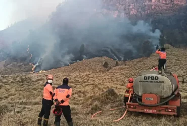 Kebakaran Bromo meluas ke B29, area terbakar mencapai 135 hektare (foto: BPBD Kabupaten Malang)