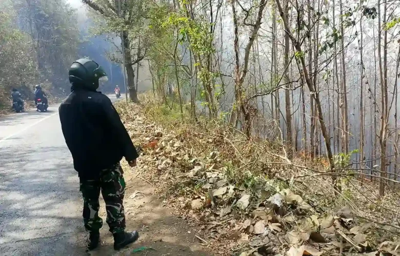 Kebakaran lahan 12 hektare di Gunung Geger Pagak, Kabupaten Malang (foto: istimewa)
