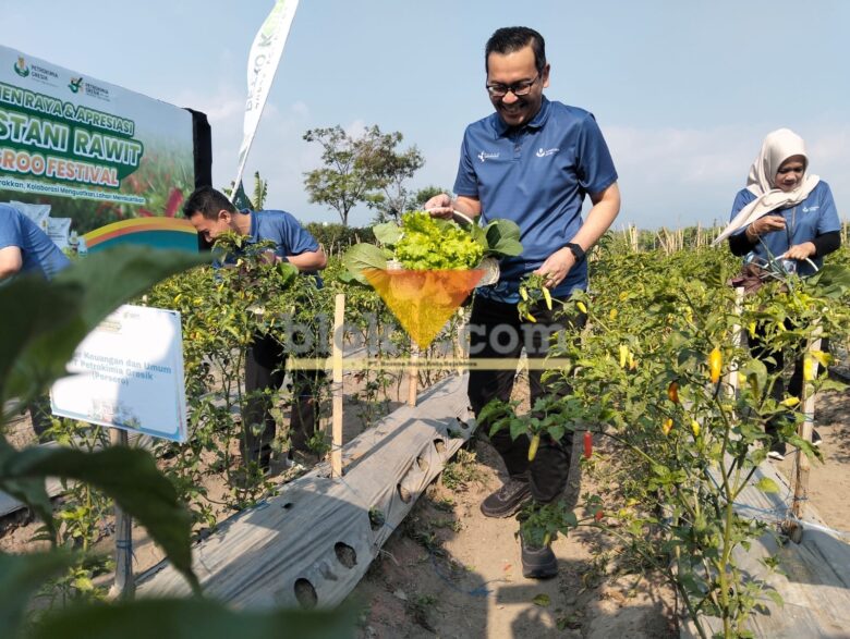 Direktur Keuangan dan Umum Petrokimia Gresik, Adityo Wibowo dalam kegiatan Pestani Rawit Groo Festival (blok-a.com / Yogga Ardiawan)
