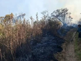 Kebakaran di jalur Semeru yang membuat pendakian Gunung Semeru ditutup total (foto: istimewa)