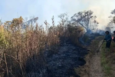 Kebakaran di jalur Semeru yang membuat pendakian Gunung Semeru ditutup total (foto: istimewa)