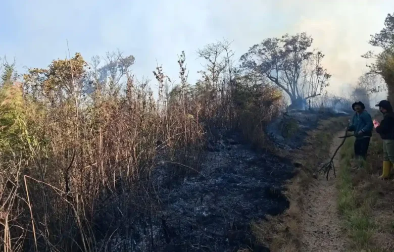 Kebakaran di jalur Semeru yang membuat pendakian Gunung Semeru ditutup total (foto: istimewa)