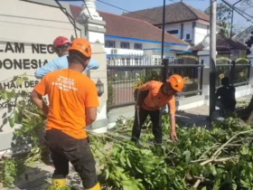 Dampak angin kencang di Kota Malang, sejumlah ranting pohon tumbang (foto: istimewa)