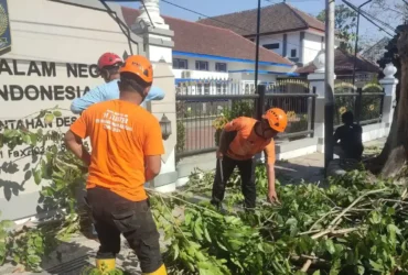 Dampak angin kencang di Kota Malang, sejumlah ranting pohon tumbang (foto: istimewa)
