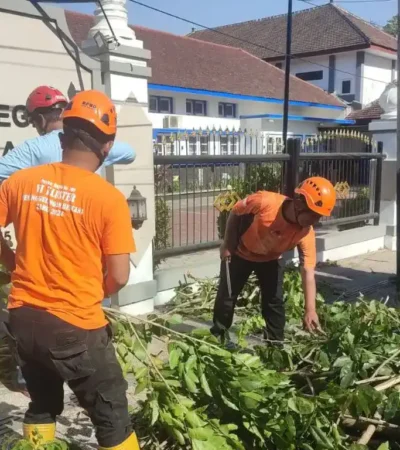 Dampak angin kencang di Kota Malang, sejumlah ranting pohon tumbang (foto: istimewa)