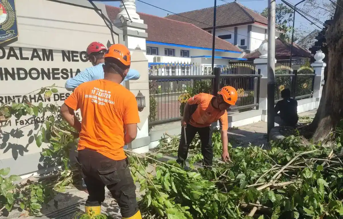 Angin Kencang Melanda Malang Raya, BMKG Ungkap Penyebab dan Imbau Warga Waspada