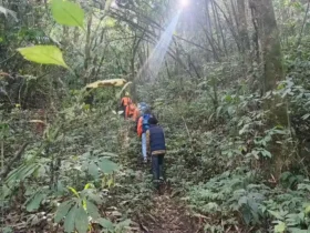 Proses evakuasi pendaki ilegal Gunung Semeru oleh tim SAR (foto: istimewa)