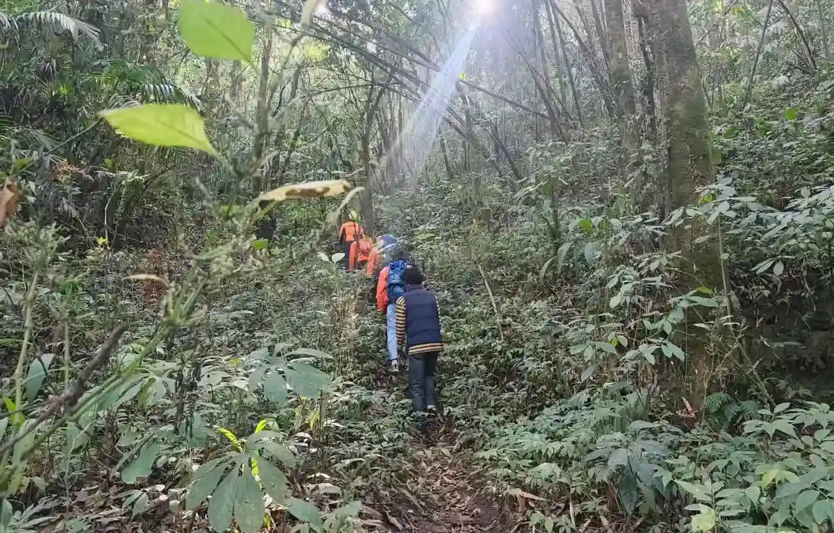7 Pendaki Ilegal Semeru Diamankan, Satu Sempat Tersesat dan Dievakuasi SAR