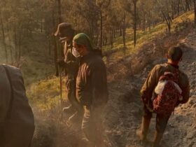 Musim Kemarau, Karhutla Kembali Terjadi di Puncak Kawinajang Pujon Malang