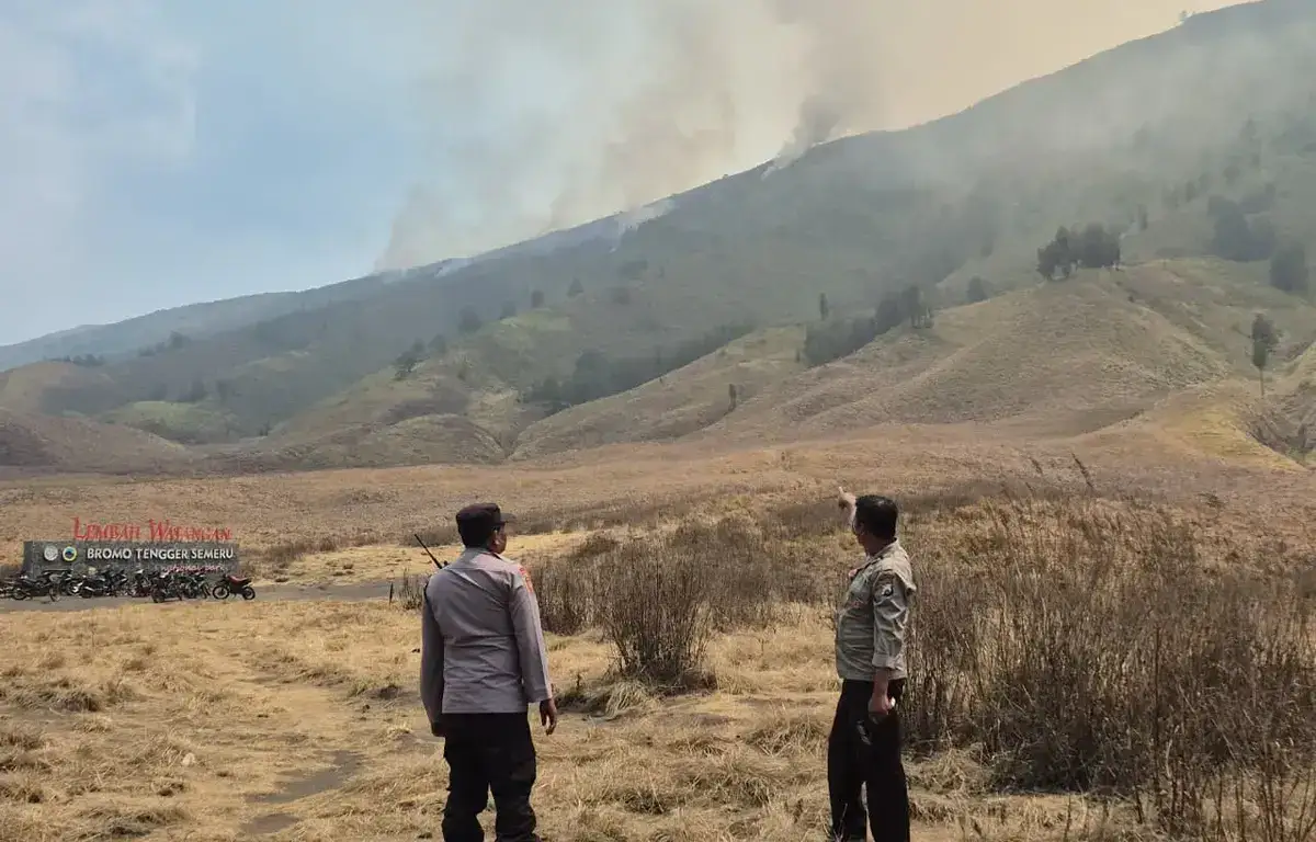 Karhutla Bromo Mengarah ke Malang, Petugas Gabungan Siaga di Jemplang Antisipasi Api Merembet