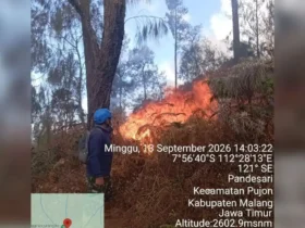 Karhutla Gunung Butak-Kawinajang meluas hingga 478 hektare, pemadaman terkendala medan & angin kencang (foto: istimewa)