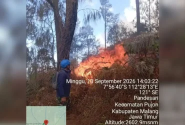 Karhutla Gunung Butak-Kawinajang meluas hingga 478 hektare, pemadaman terkendala medan & angin kencang (foto: istimewa)