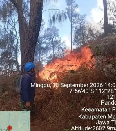 Karhutla Gunung Butak-Kawinajang meluas hingga 478 hektare, pemadaman terkendala medan & angin kencang (foto: istimewa)