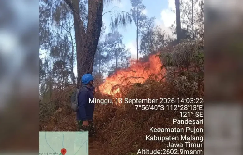 Karhutla Gunung Butak-Kawinajang meluas hingga 478 hektare, pemadaman terkendala medan & angin kencang (foto: istimewa)