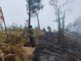 Karhutla Gunung Buthak Malang meluas hingga 1.050 hektare, water bombing terkendala angin (foto: BPBD Kabupaten Malang)
