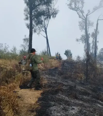 Karhutla Gunung Buthak Malang meluas hingga 1.050 hektare, water bombing terkendala angin (foto: BPBD Kabupaten Malang)