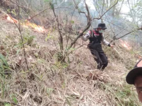 Kebakaran Hutan Gunung Kawi Meluas, Total Area Terbakar Capai 1.538 Hektare (BPBD Kabupaten Malang)