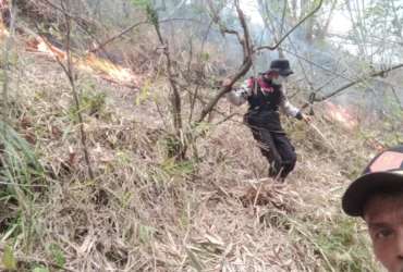 Kebakaran Hutan Gunung Kawi Meluas, Total Area Terbakar Capai 1.538 Hektare (BPBD Kabupaten Malang)