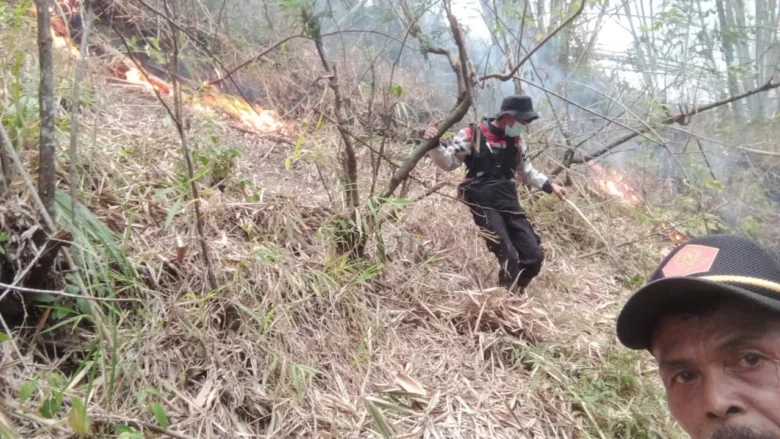 Kebakaran Hutan Gunung Kawi Meluas, Total Area Terbakar Capai 1.538 Hektare (BPBD Kabupaten Malang)