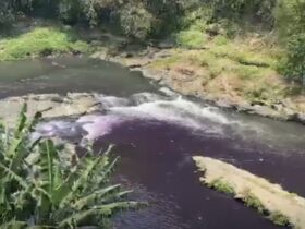 Air Sungai Brantas di kawasan Mergosono Gang 5, Kota Malang, mendadak berubah warna menjadi ungu (foto: istimewa)