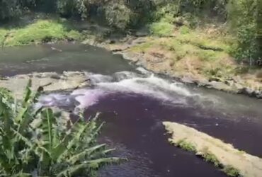 Air Sungai Brantas di kawasan Mergosono Gang 5, Kota Malang, mendadak berubah warna menjadi ungu (foto: istimewa)