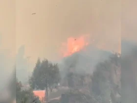 Karhutla Meluas, TNBTS Tutup Total Wisata Gunung Bromo Mulai 12 September (foto: tangkapan layar)