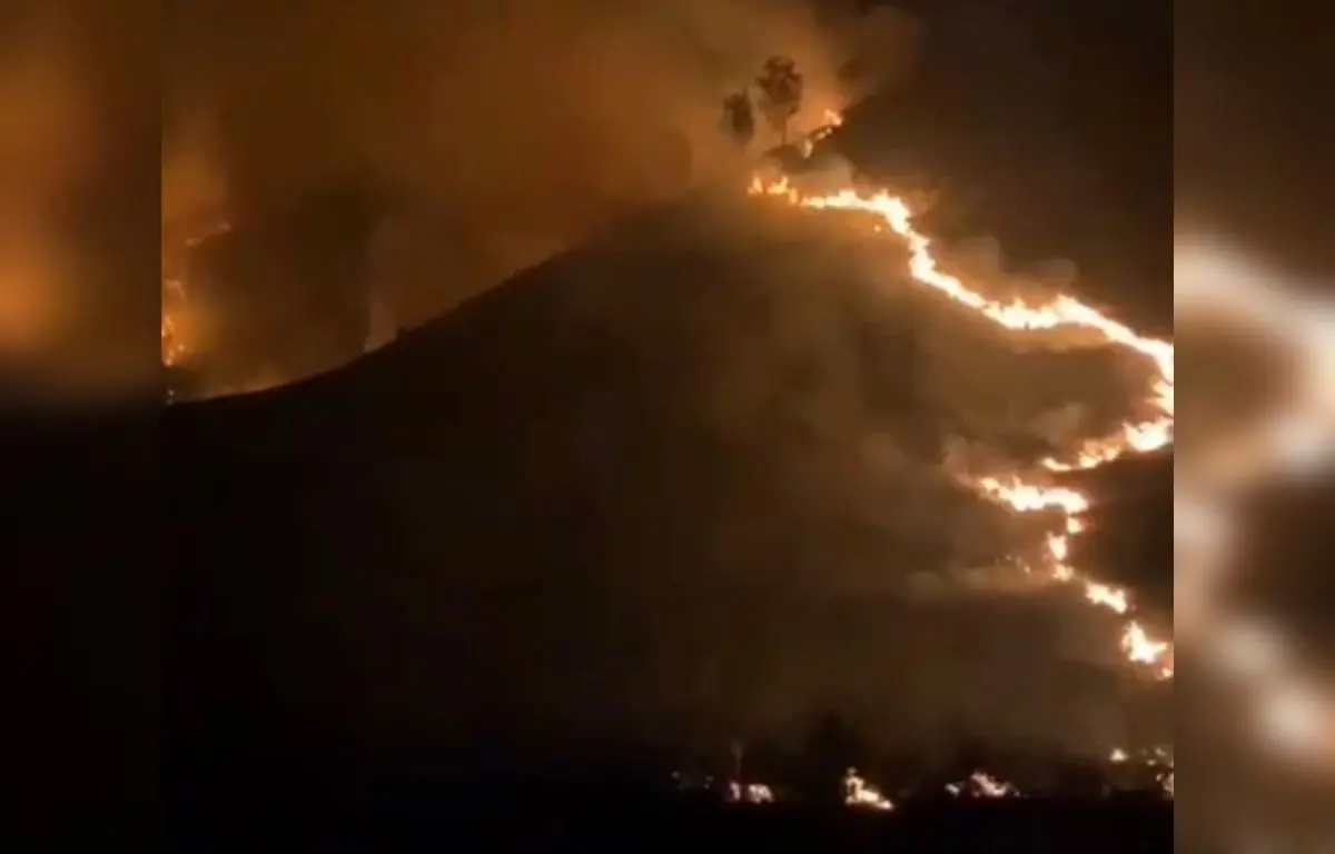 Wisata Bromo Ditutup dari Pintu Jemplang Malang Imbas Kebakaran Savana Pengol