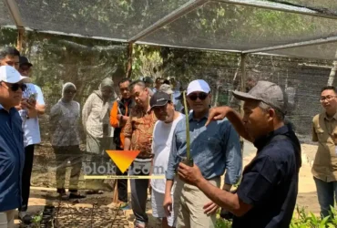 BAKN dan OJK siapkan perdagangan karbon berbasis komunitas, Mangrove Clungup Malang jadi pionir (foto: blok-a.com/Yogga Ardiawan)