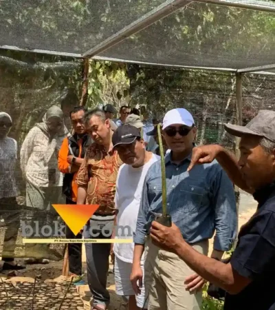 BAKN dan OJK siapkan perdagangan karbon berbasis komunitas, Mangrove Clungup Malang jadi pionir (foto: blok-a.com/Yogga Ardiawan)